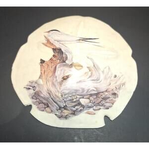 Vintage Sand Dollar w/a Perched Bird/Floral Applique Applied 5"